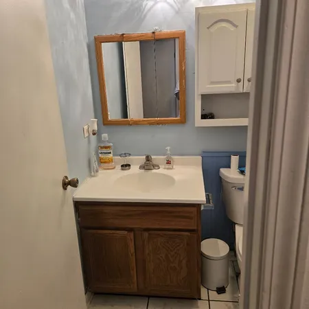 a bathroom with a sink a toilet and mirror