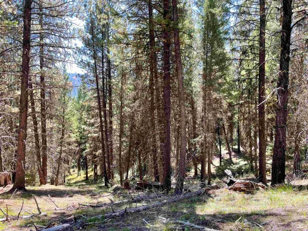 $342,335 | 1-2 Horesthief Road, Cascade, ID 83611