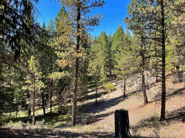 $342,335 | 1-2 Horesthief Road, Cascade, ID 83611