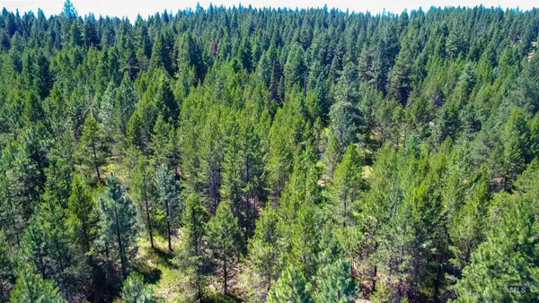 $342,335 | 1-2 Horesthief Road, Cascade, ID 83611