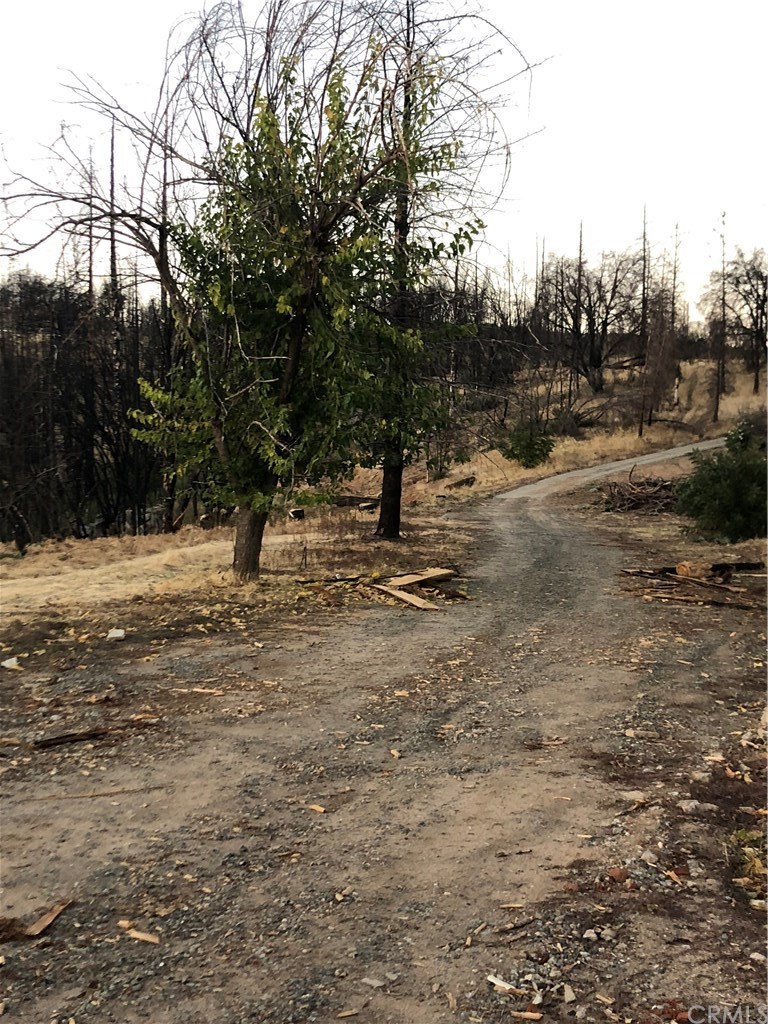 237 Eagle Child Road Oroville, CA 95966 - Photo 1 of 1 Gallery Image 1