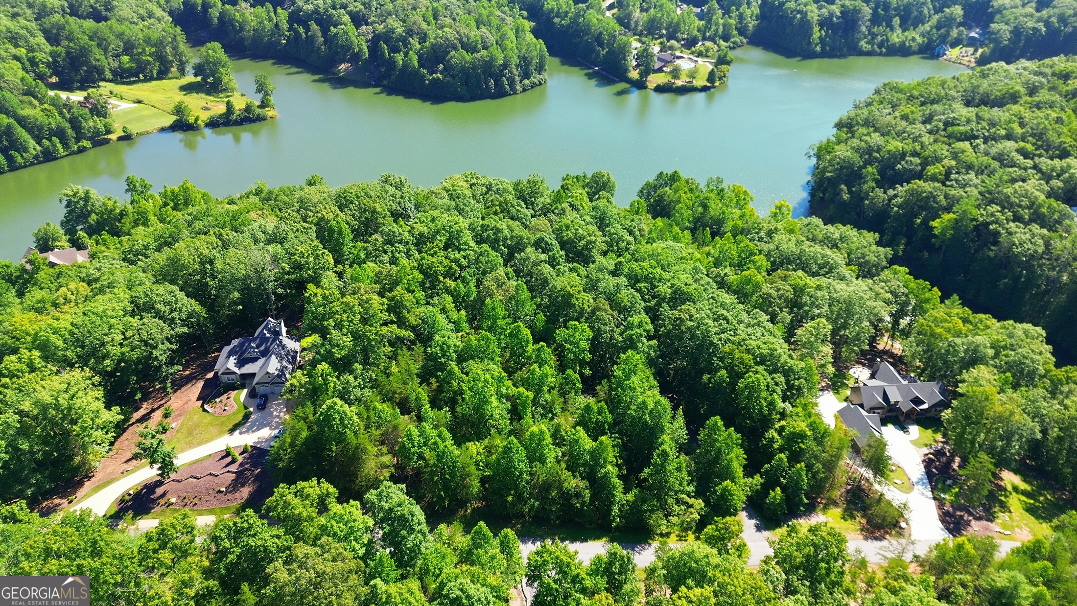 Lot 15 South Laceola Road Cleveland, GA 30528 - Photo 3 of 13