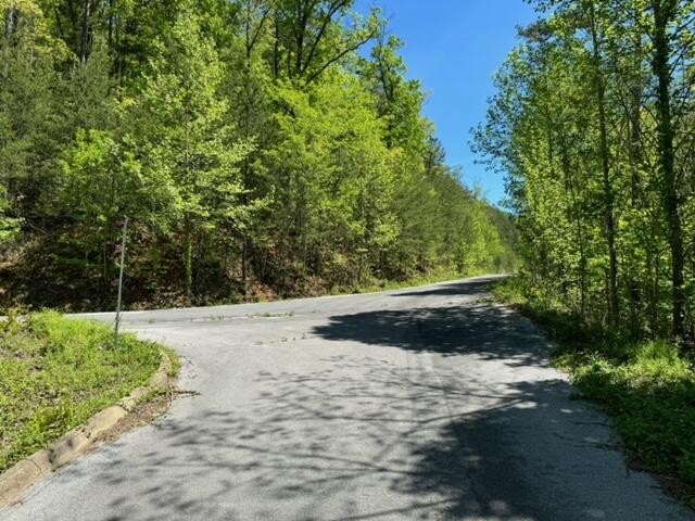 2481 Happy Hollow Road Sevierville, TN 37862 - Photo 24 of 30 Gallery Image 24