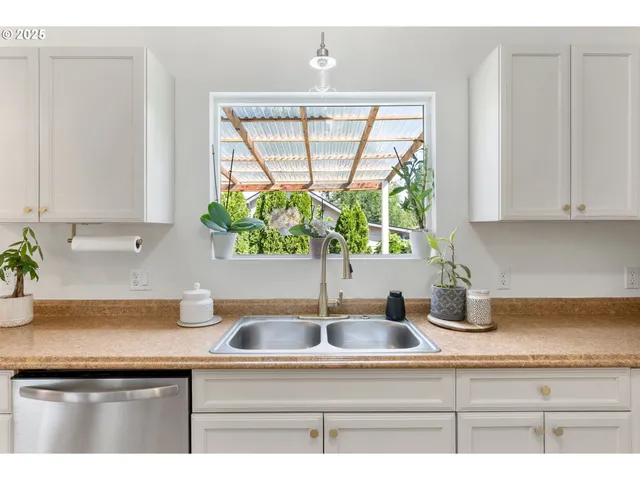 a kitchen with stainless steel appliances white cabinets a potted plant and a window