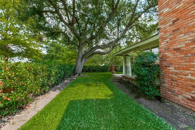 a view of a yard with a tree