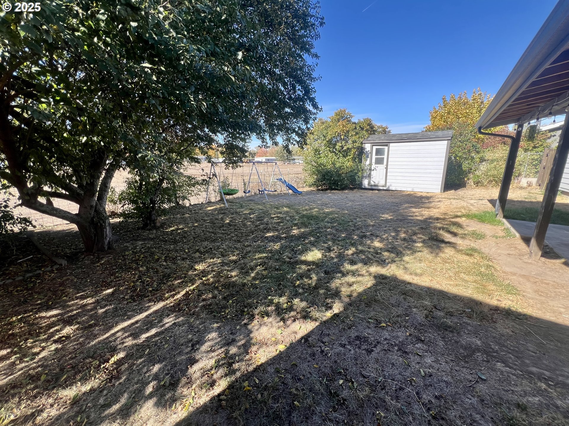 548 Pioneer Court Union, OR 97883 - Photo 16 of 18 a view of a yard with plants and a large tree