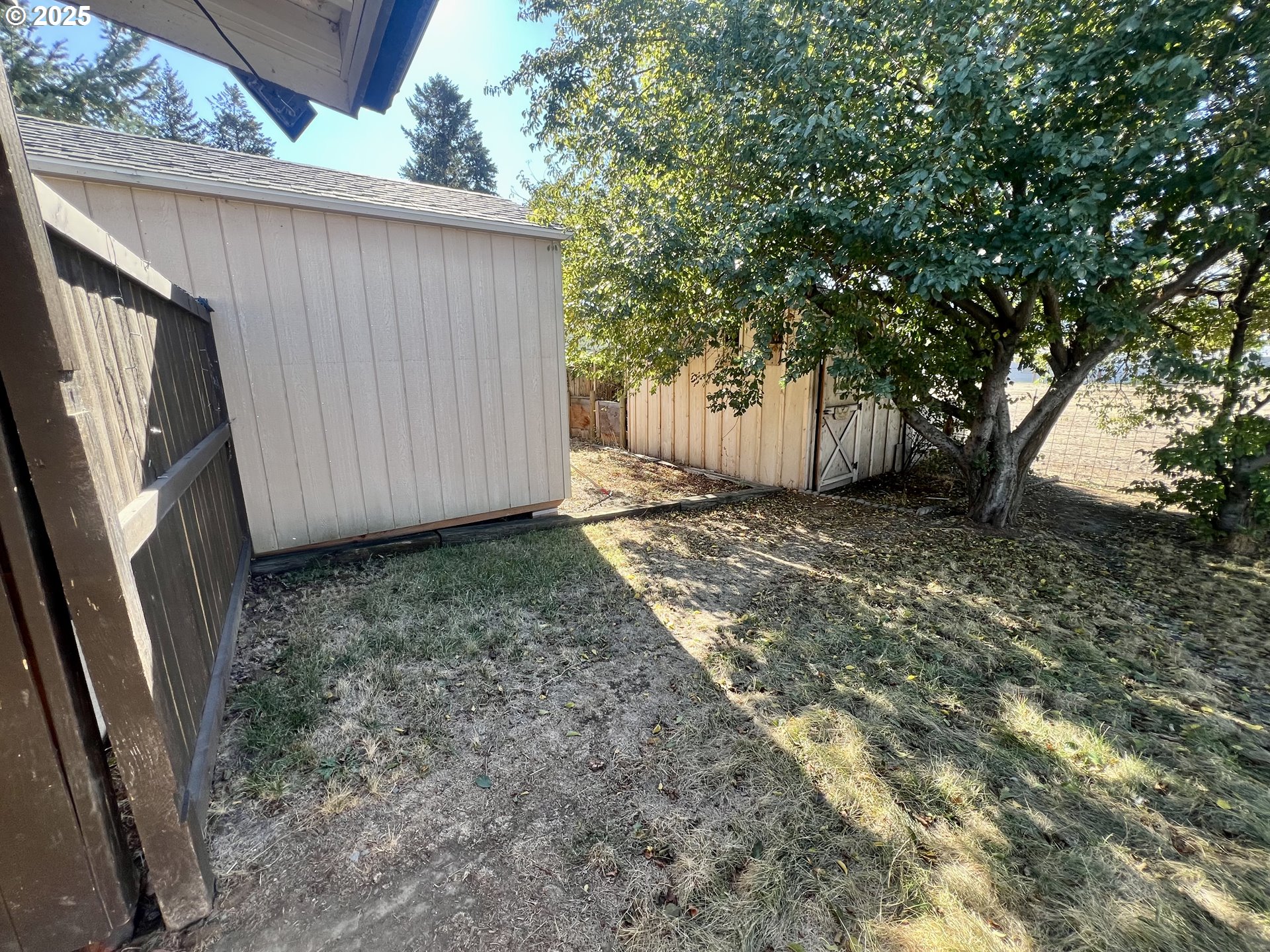 548 Pioneer Court Union, OR 97883 - Photo 18 of 18 a view of a backyard with a barn and a large tree