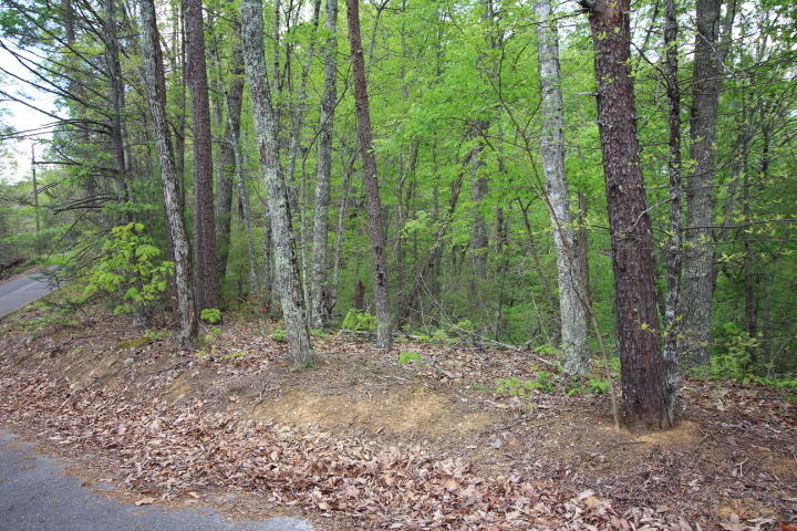 Lot 4 Hatcher Top Road Sevierville, TN 37862 - Photo 1 of 6 Lot 4 Hatcher Top0006