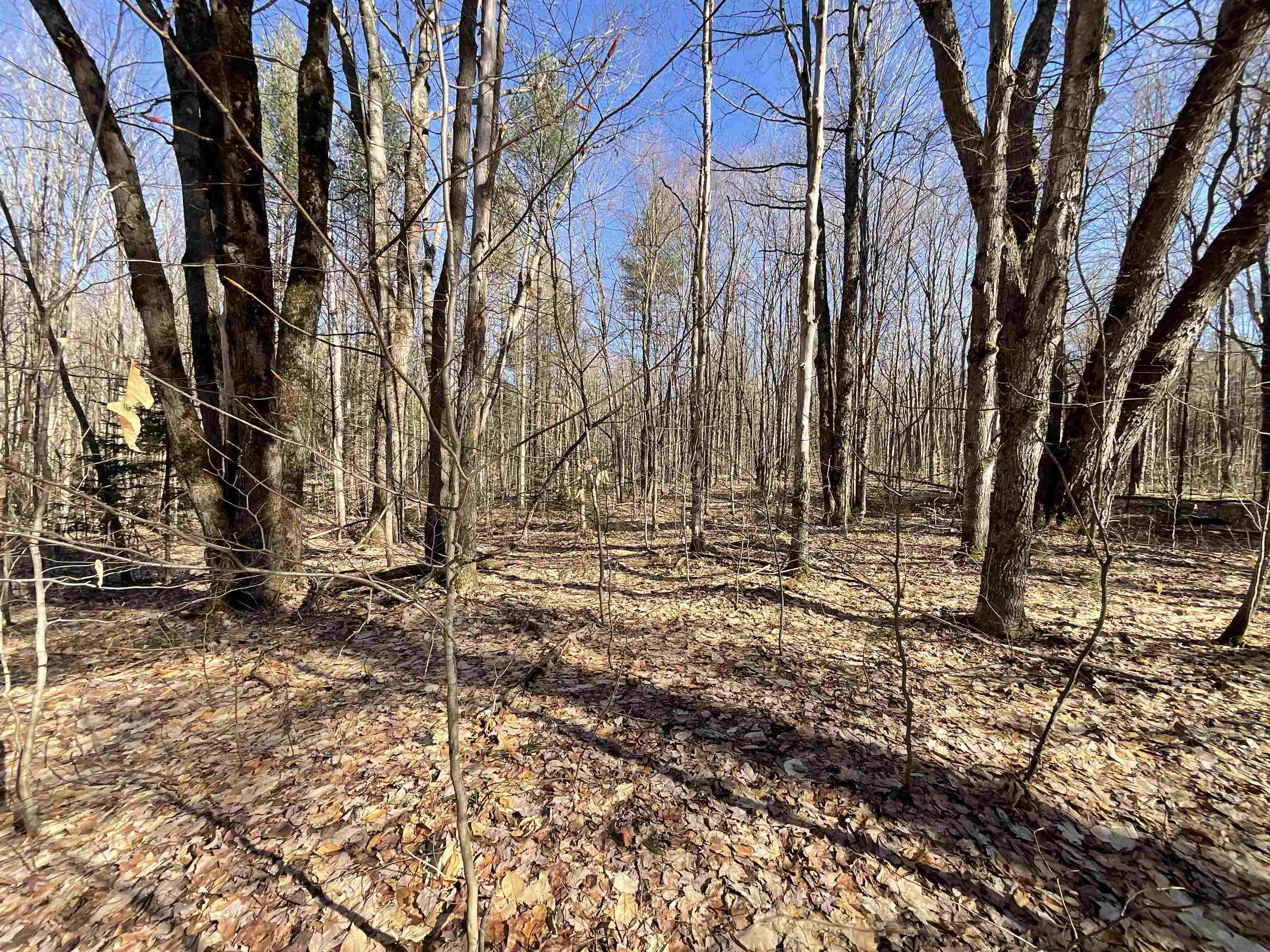 V/l Tower Road Northeast Kalkaska, MI 49646 - Photo 15 of 15
