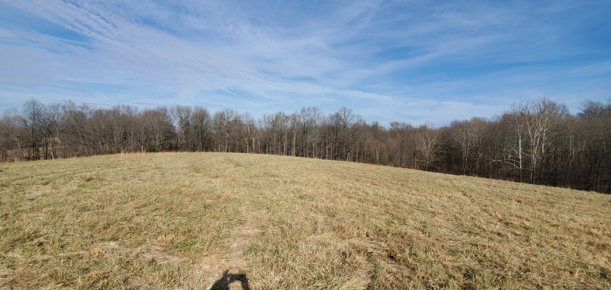 1069 Howell Road Westmoreland, TN 37186 - Photo 2 of 38 Gallery Image 2