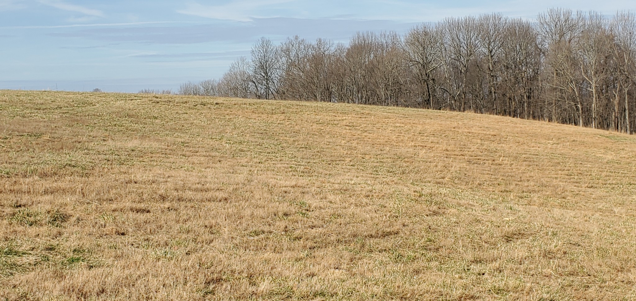 1069 Howell Road Westmoreland, TN 37186 - Photo 18 of 38 Gallery Image 18
