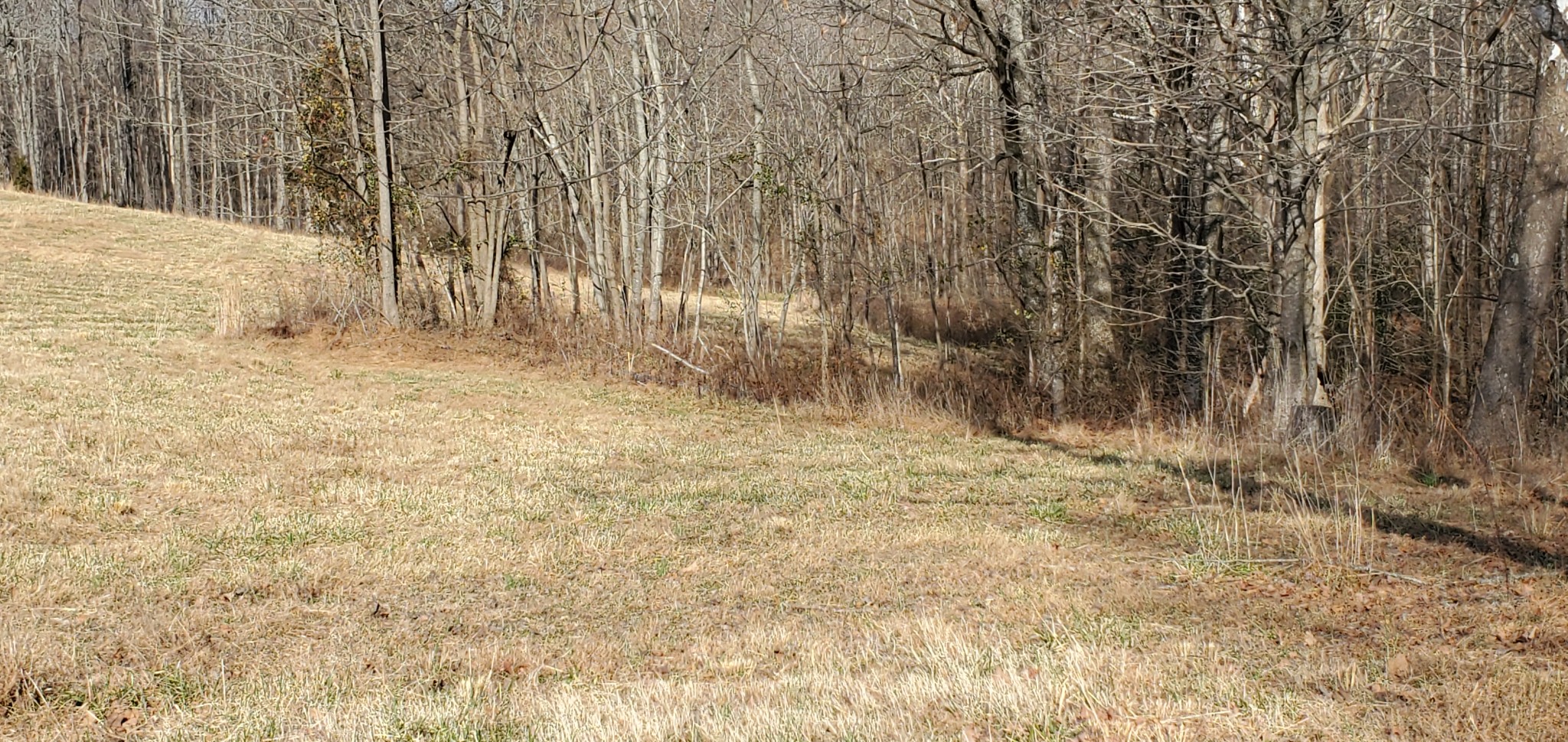 1069 Howell Road Westmoreland, TN 37186 - Photo 19 of 38 Gallery Image 19
