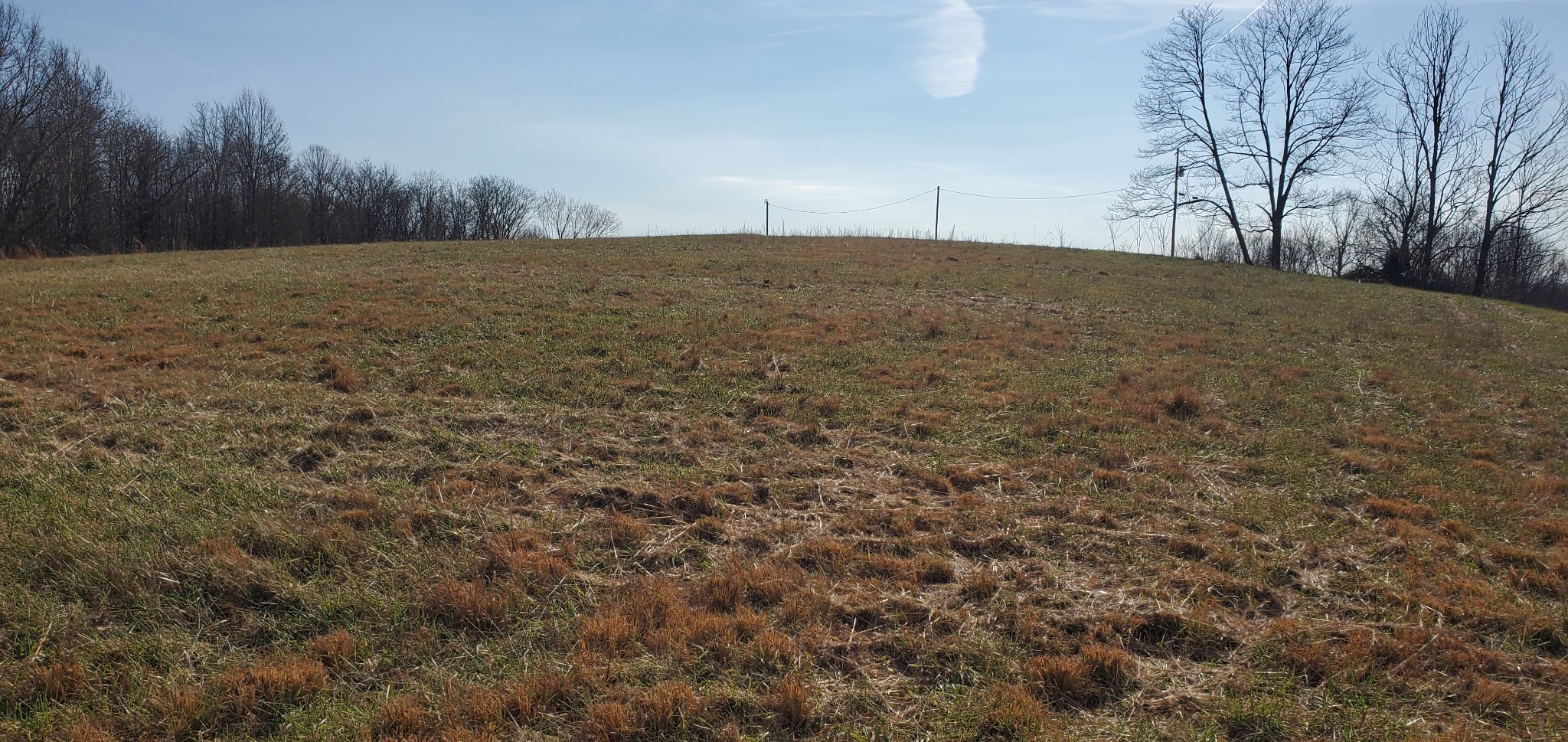 1069 Howell Road Westmoreland, TN 37186 - Photo 20 of 38 Gallery Image 20