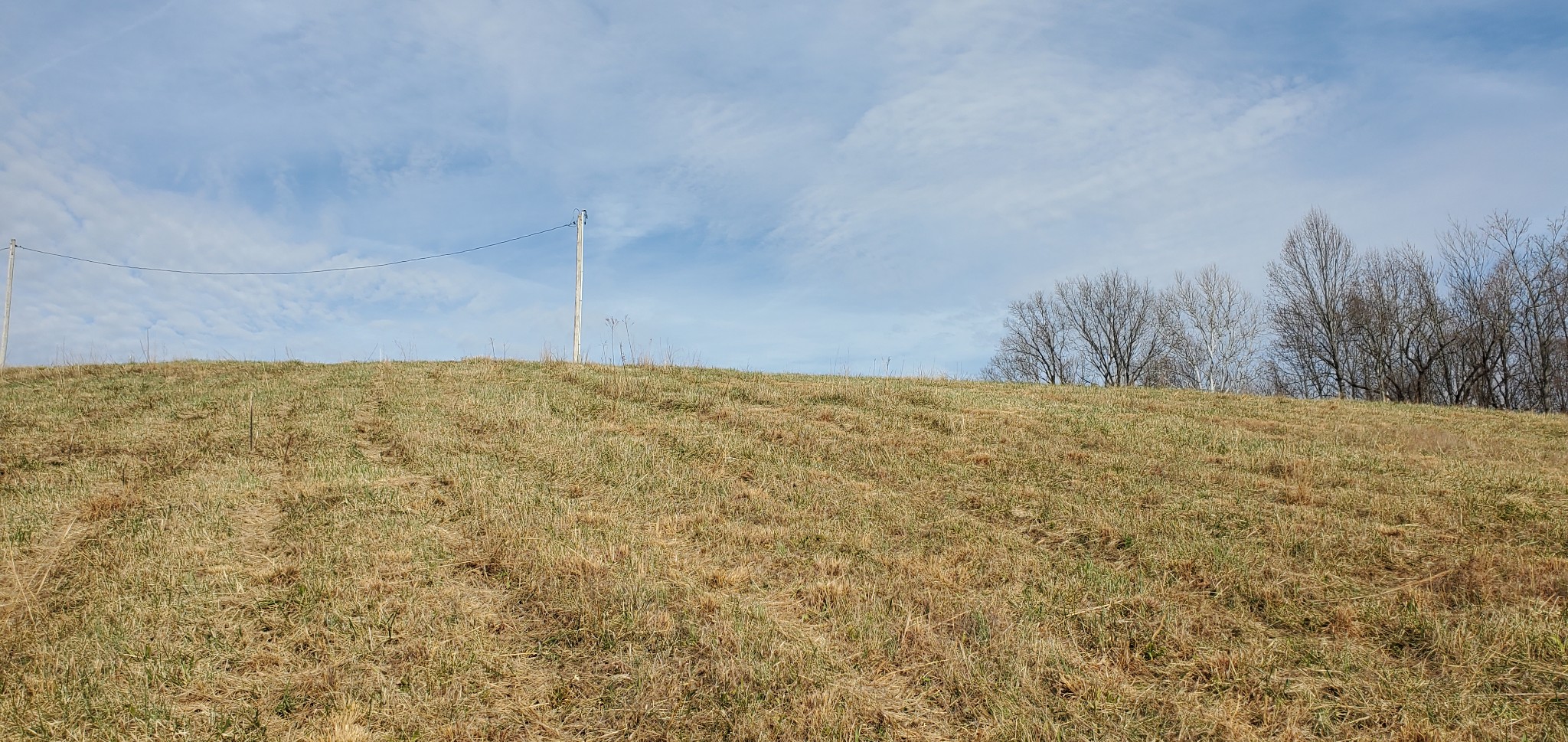 1069 Howell Road Westmoreland, TN 37186 - Photo 22 of 38 Gallery Image 22