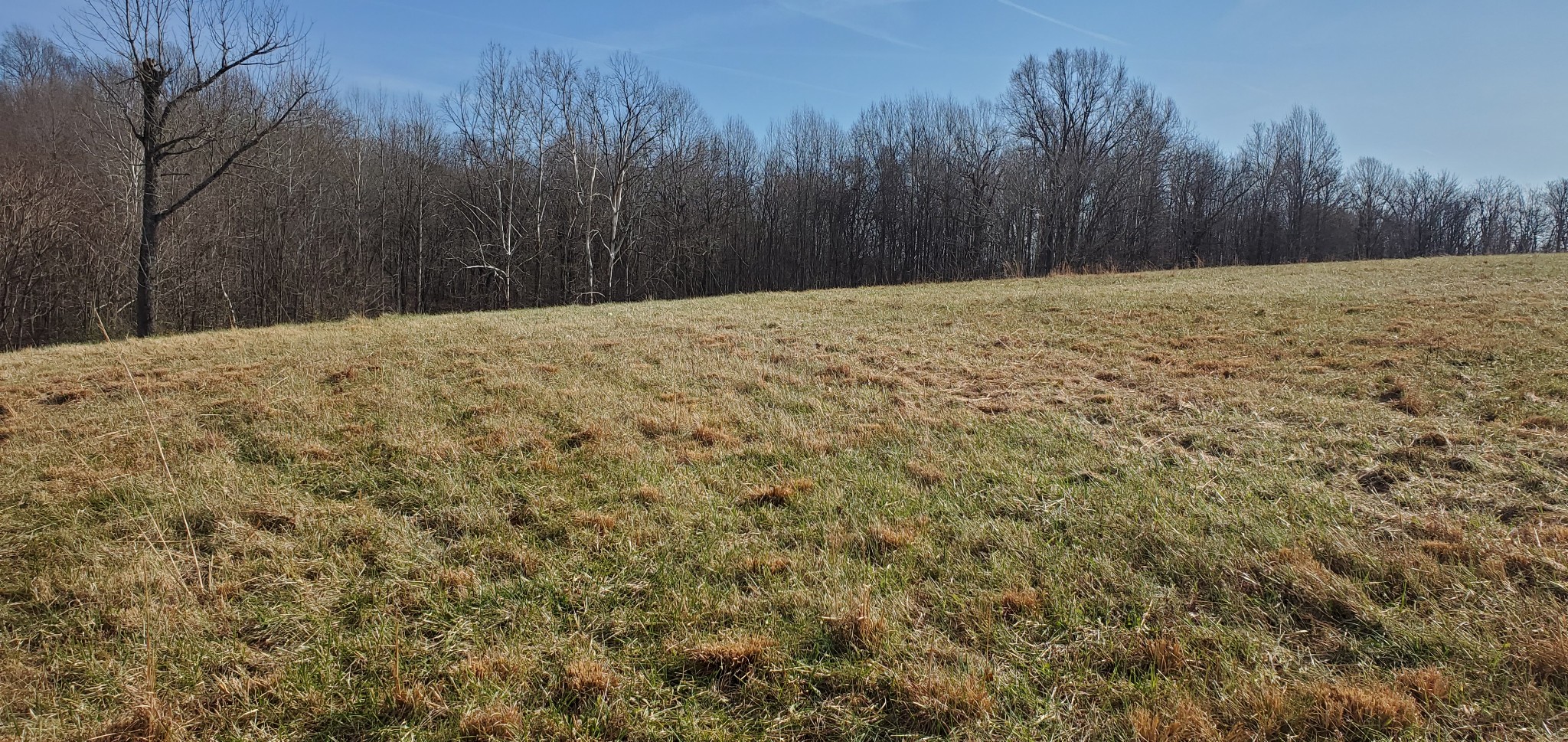 1069 Howell Road Westmoreland, TN 37186 - Photo 29 of 38 Gallery Image 29