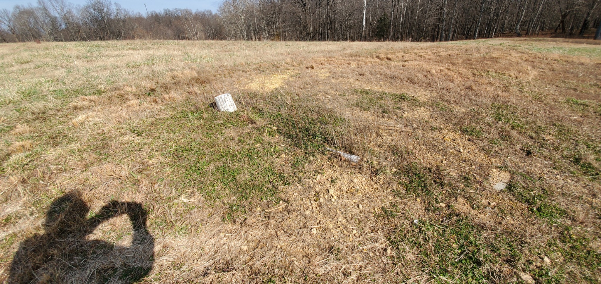 1069 Howell Road Westmoreland, TN 37186 - Photo 5 of 38 Gallery Image 5