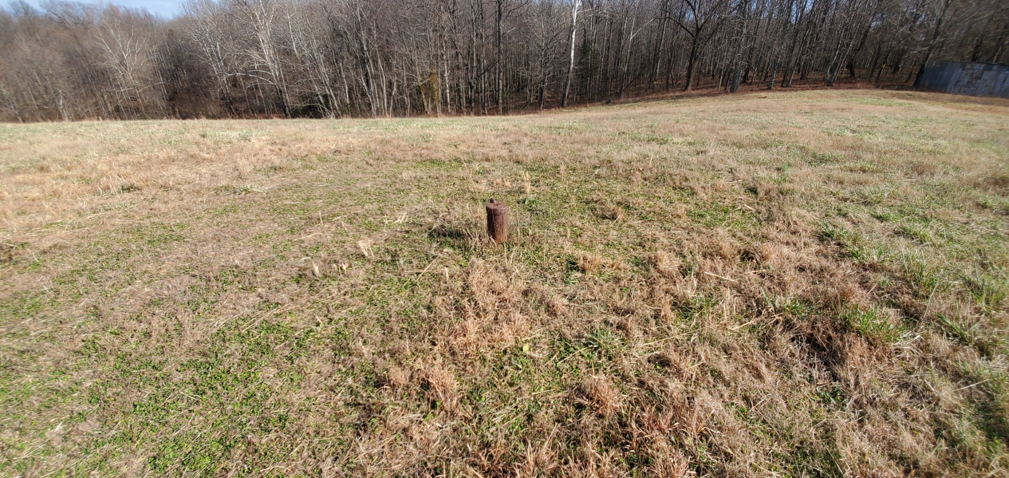 1069 Howell Road Westmoreland, TN 37186 - Photo 6 of 38 Gallery Image 6