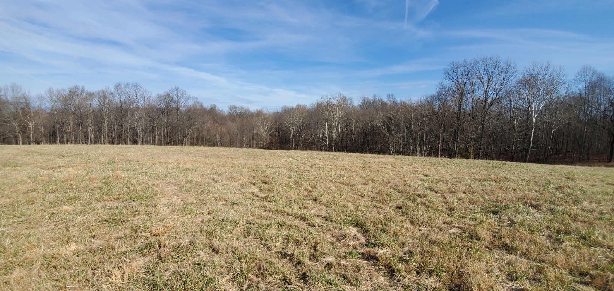 1069 Howell Road Westmoreland, TN 37186 - Photo 10 of 38 Gallery Image 10