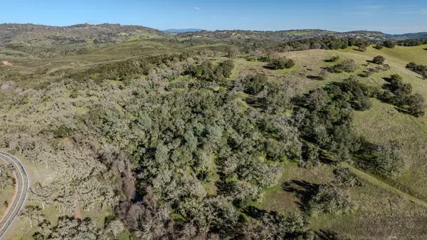 an aerial view of forest