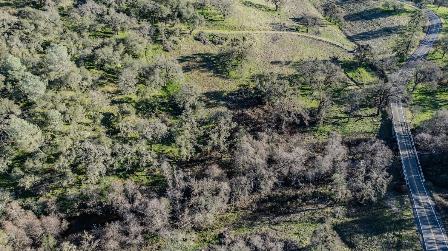 7220 Stony Creek Road Jackson, CA 95642 - Photo 55 of 60 a view of a forest with a yard
