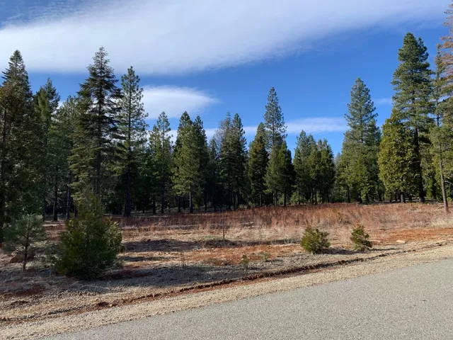 $98,500 | Lot 27 Princess Pine, Shingletown, CA 96088