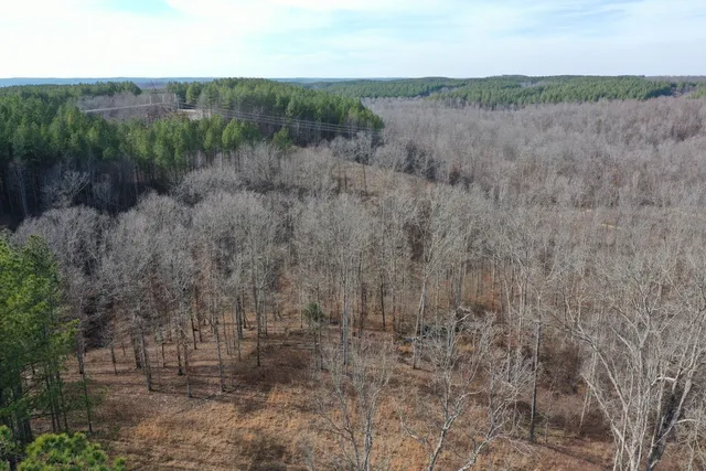 $149,999 | 2340 Bear Hollow Drive, Waverly, TN 37185