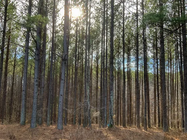 $149,999 | 2340 Bear Hollow Drive, Waverly, TN 37185