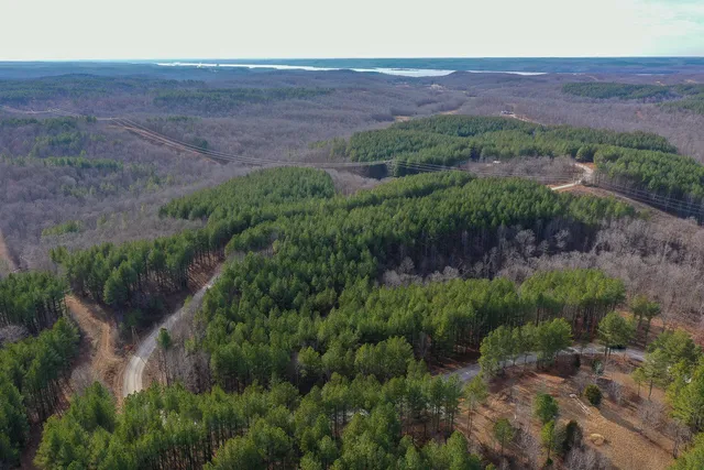 $149,999 | 2340 Bear Hollow Drive, Waverly, TN 37185