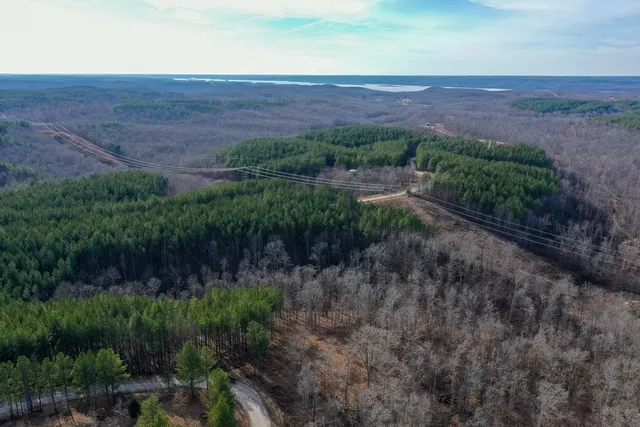 $149,999 | 2340 Bear Hollow Drive, Waverly, TN 37185