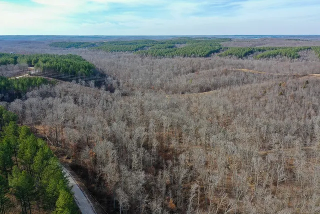 $149,999 | 2340 Bear Hollow Drive, Waverly, TN 37185