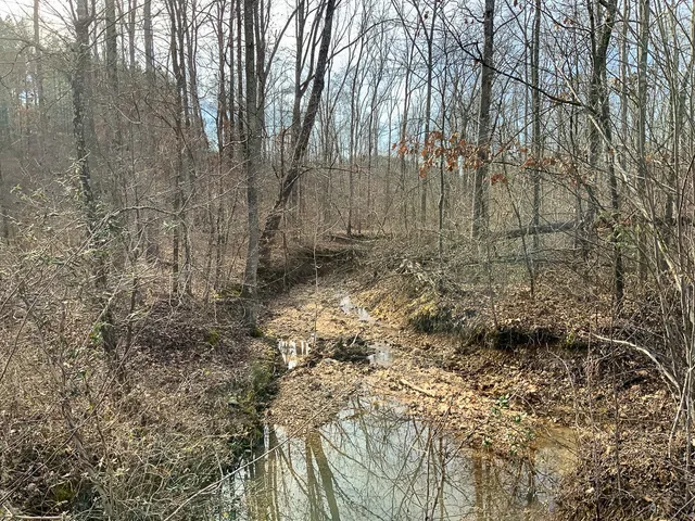 $149,999 | 2340 Bear Hollow Drive, Waverly, TN 37185