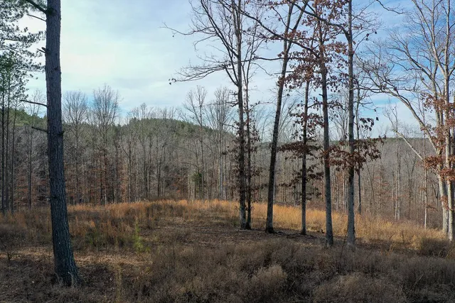 $149,999 | 2340 Bear Hollow Drive, Waverly, TN 37185