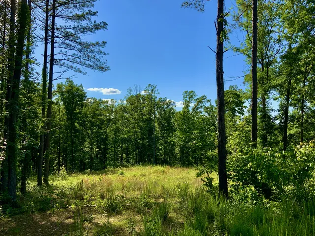 $149,999 | 2340 Bear Hollow Drive, Waverly, TN 37185