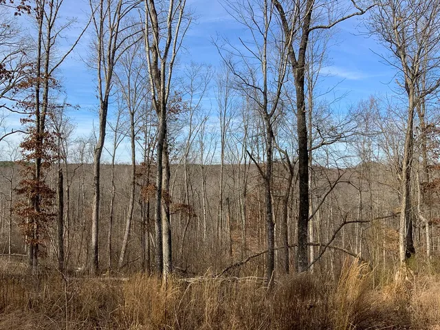 $149,999 | 2340 Bear Hollow Drive, Waverly, TN 37185