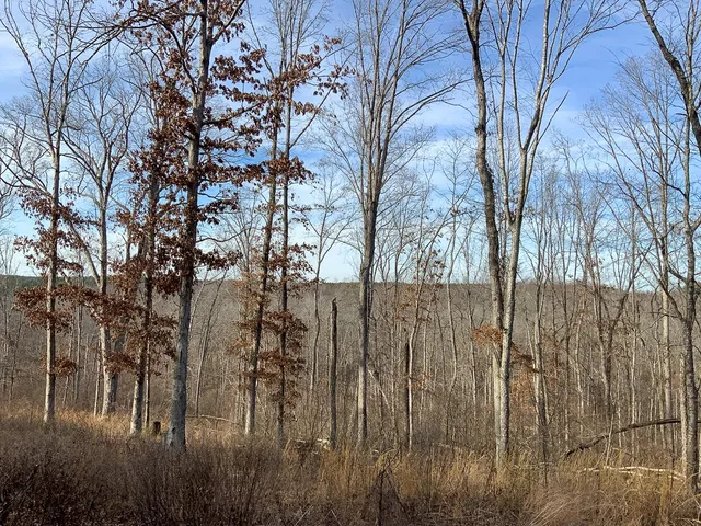 $149,999 | 2340 Bear Hollow Drive, Waverly, TN 37185