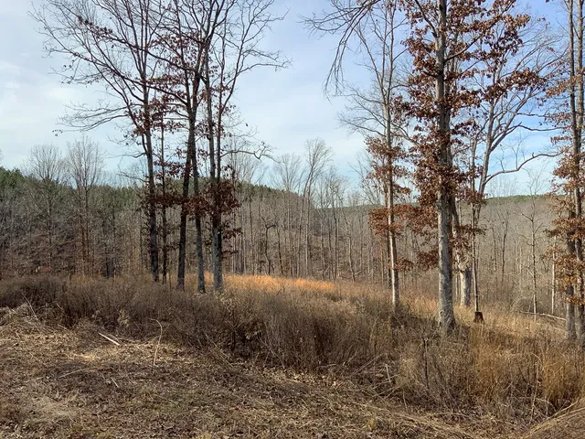 $149,999 | 2340 Bear Hollow Drive, Waverly, TN 37185