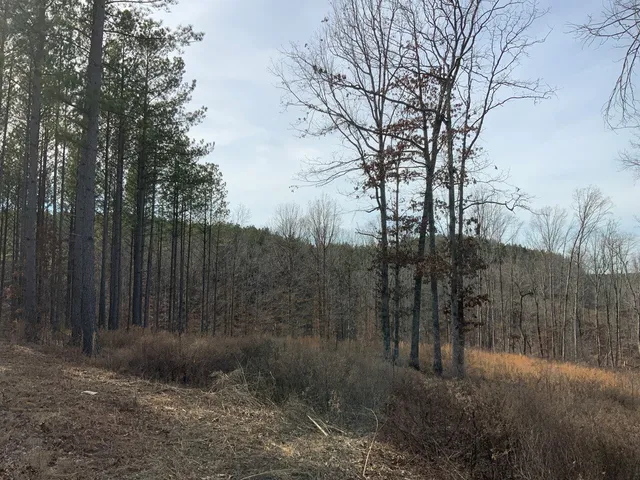 $149,999 | 2340 Bear Hollow Drive, Waverly, TN 37185