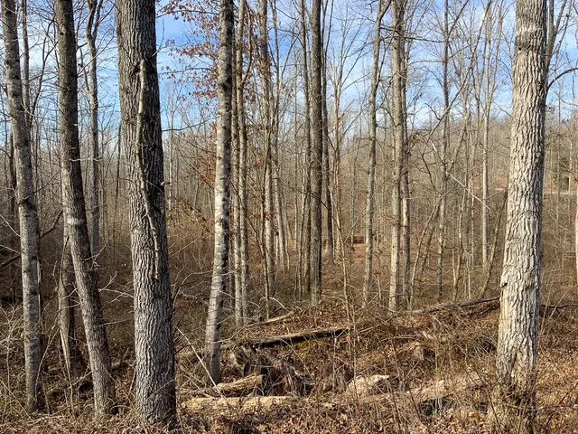 $149,999 | 2340 Bear Hollow Drive, Waverly, TN 37185