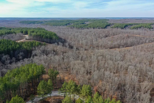 $149,999 | 2340 Bear Hollow Drive, Waverly, TN 37185