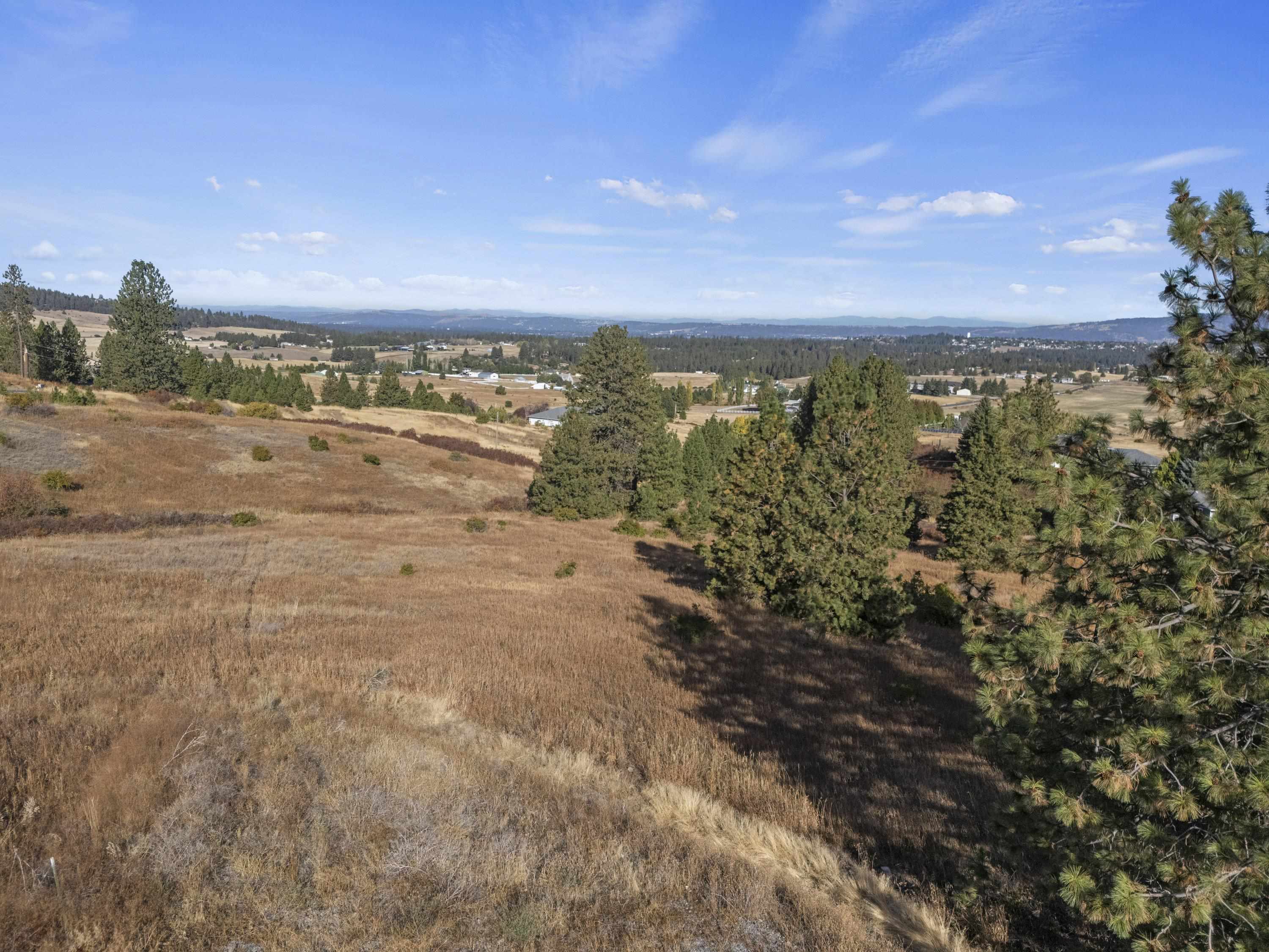 6611 South Saddle Ridge Road Greenacres, WA 99016 - Photo 12 of 27