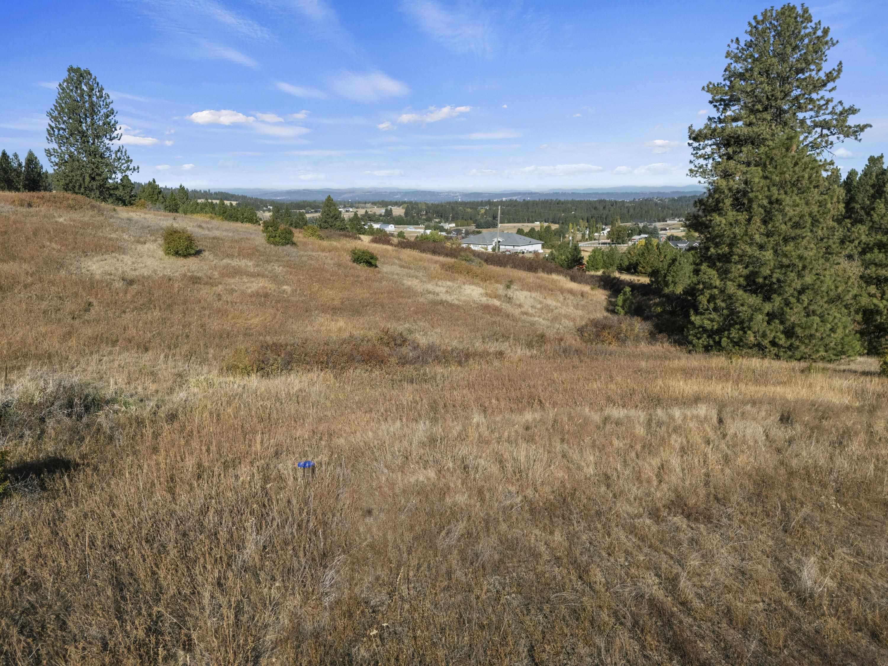 6611 South Saddle Ridge Road Greenacres, WA 99016 - Photo 16 of 27