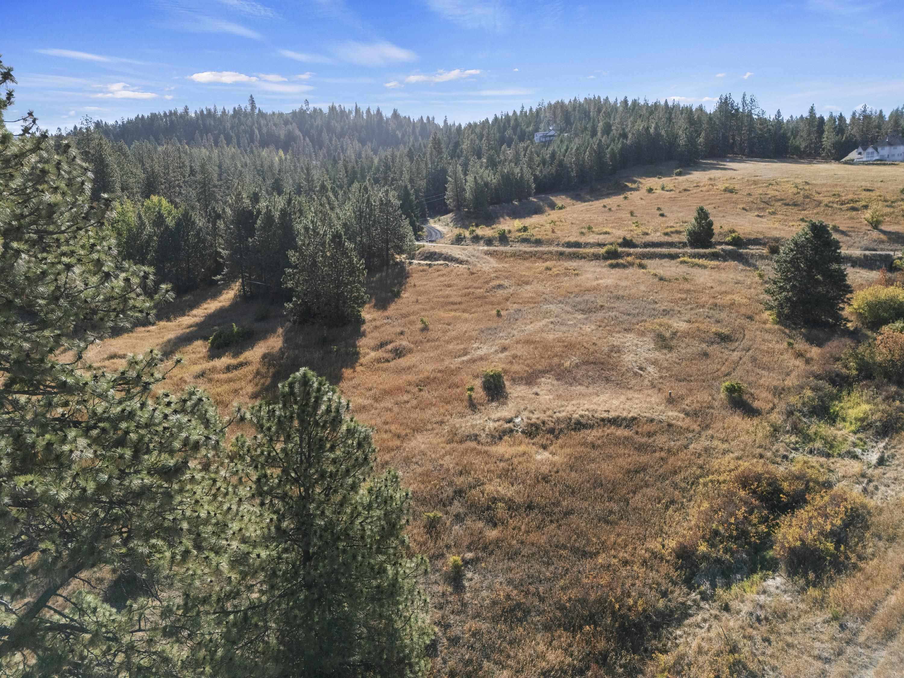 6611 South Saddle Ridge Road Greenacres, WA 99016 - Photo 18 of 27