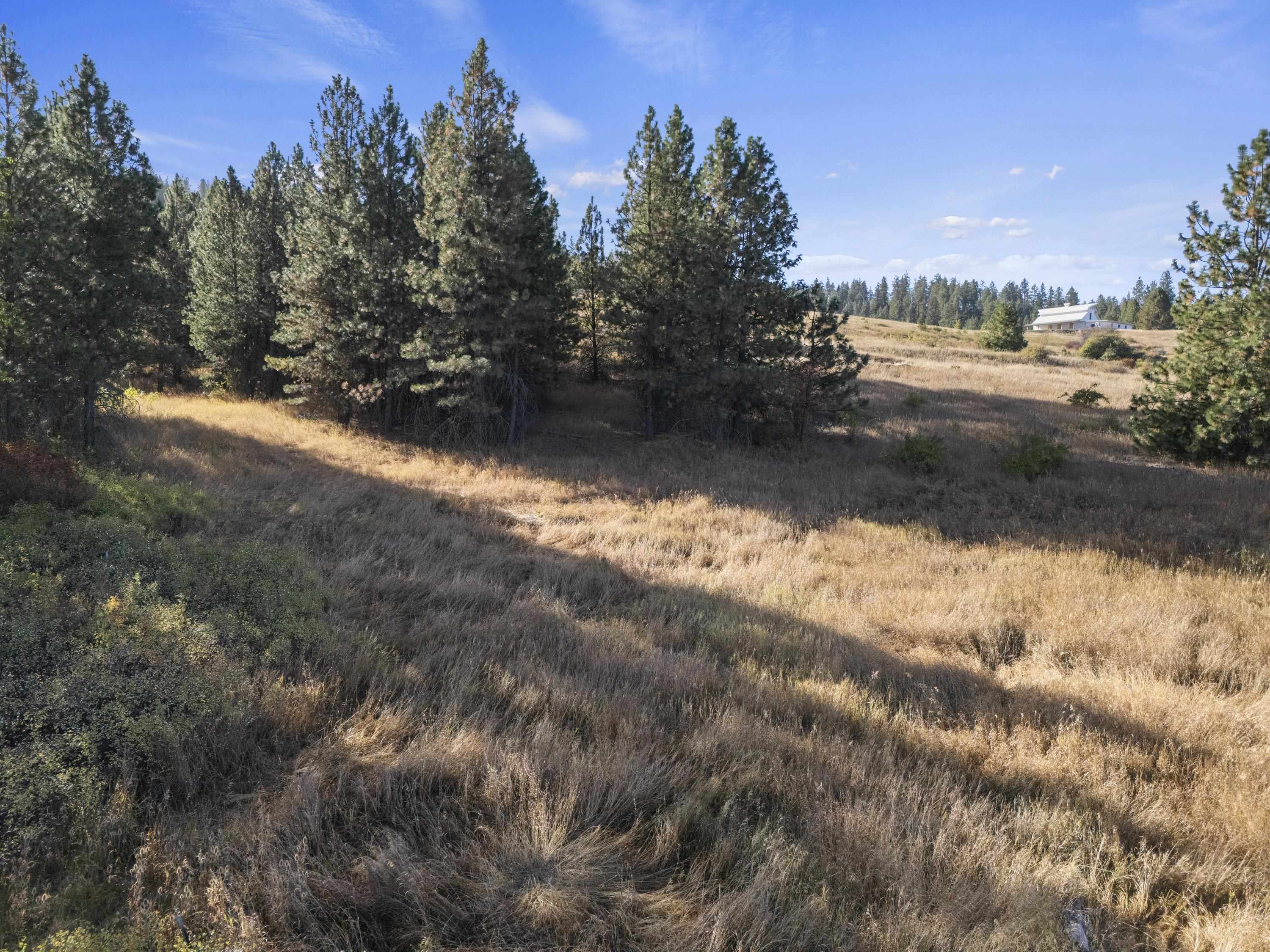 6611 South Saddle Ridge Road Greenacres, WA 99016 - Photo 19 of 27