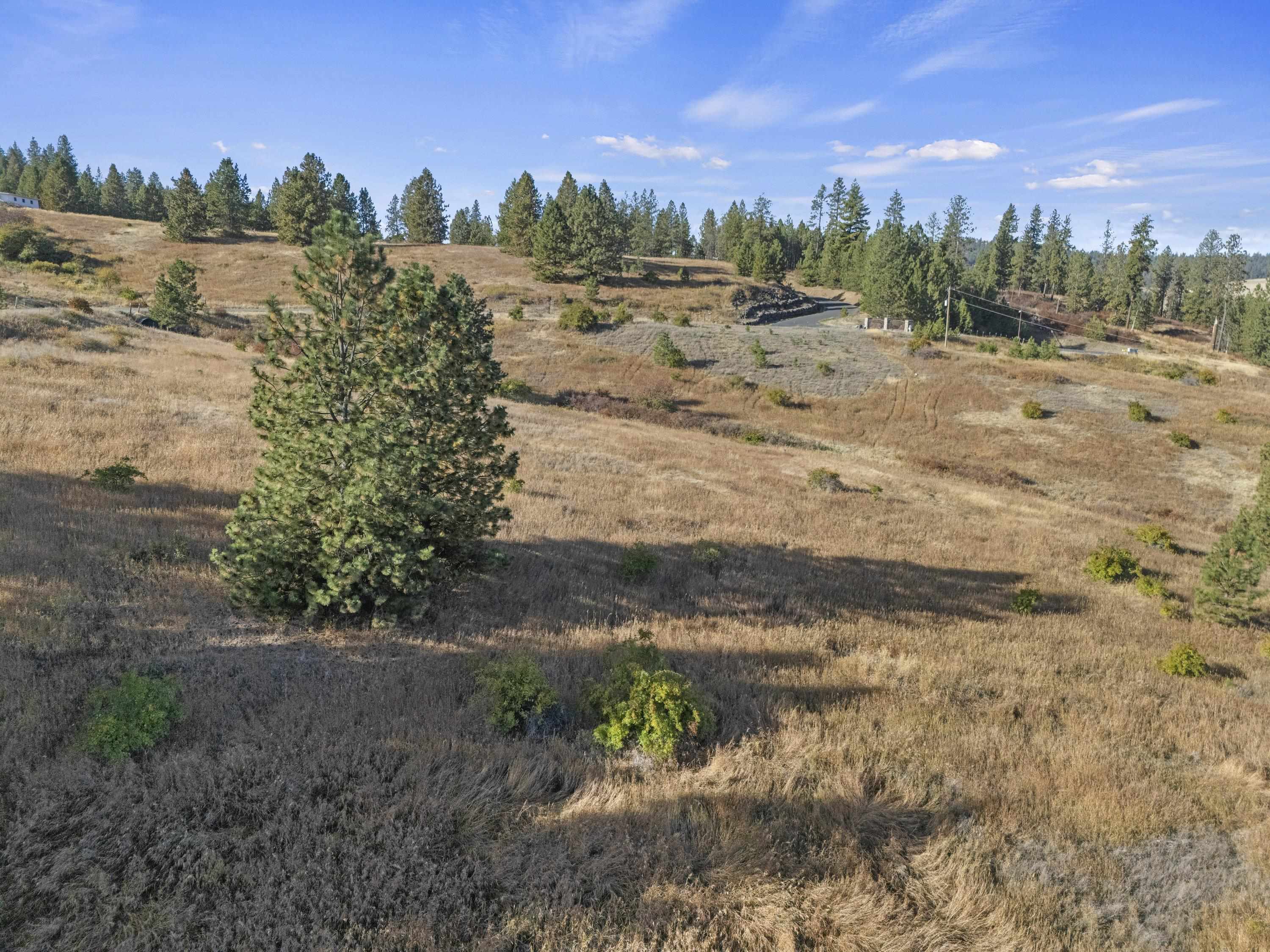 6611 South Saddle Ridge Road Greenacres, WA 99016 - Photo 20 of 27