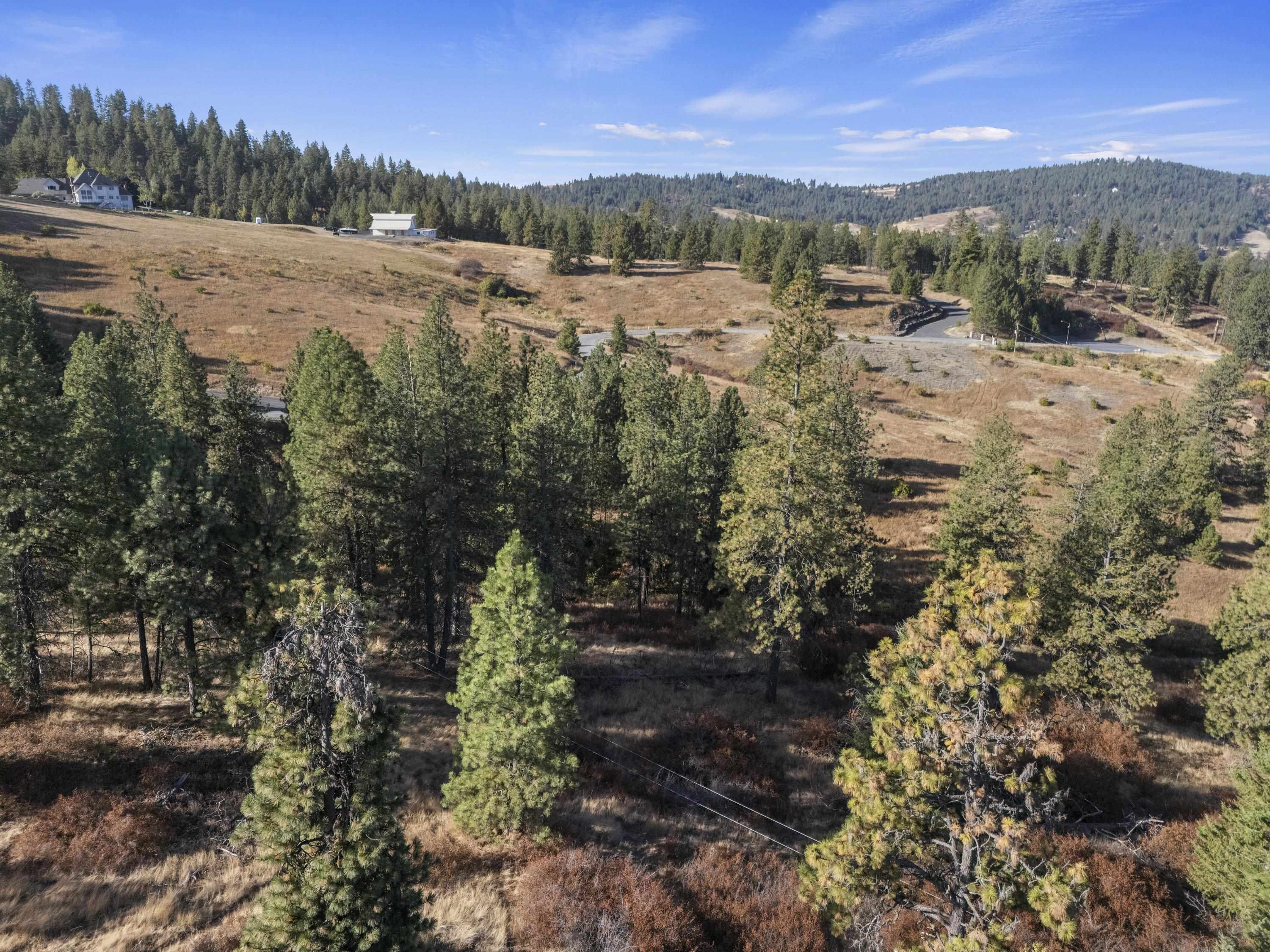 6611 South Saddle Ridge Road Greenacres, WA 99016 - Photo 23 of 27