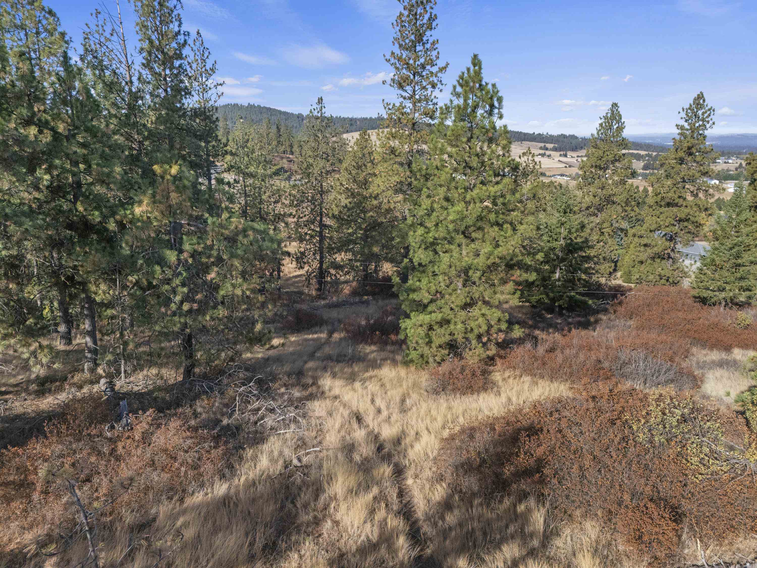 6611 South Saddle Ridge Road Greenacres, WA 99016 - Photo 24 of 27