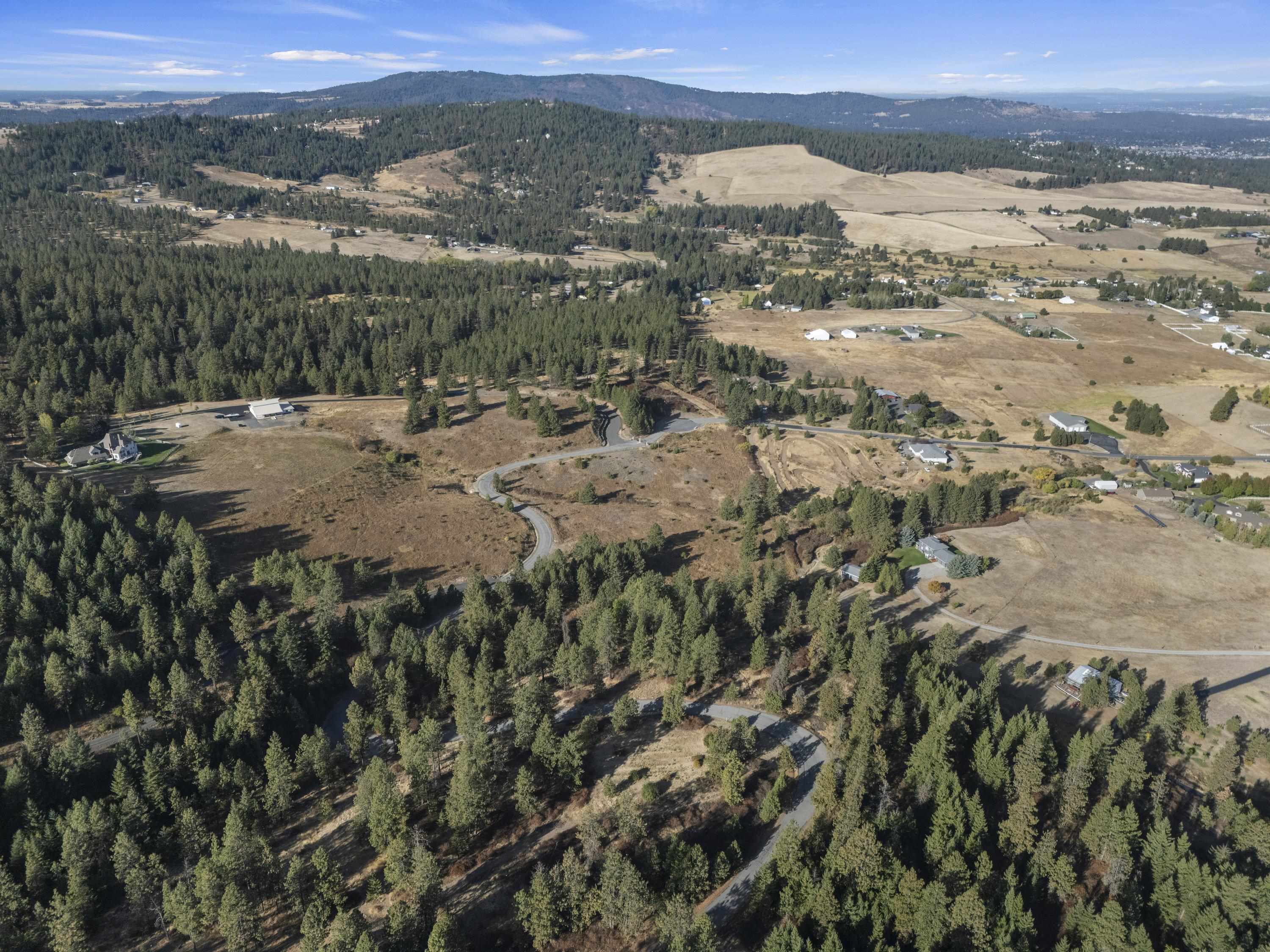 6611 South Saddle Ridge Road Greenacres, WA 99016 - Photo 4 of 27