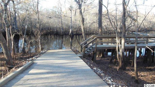 Lot 4 Rivers Edge Drive Conway, SC 29526 - Photo 4 of 6 Gallery Image 4