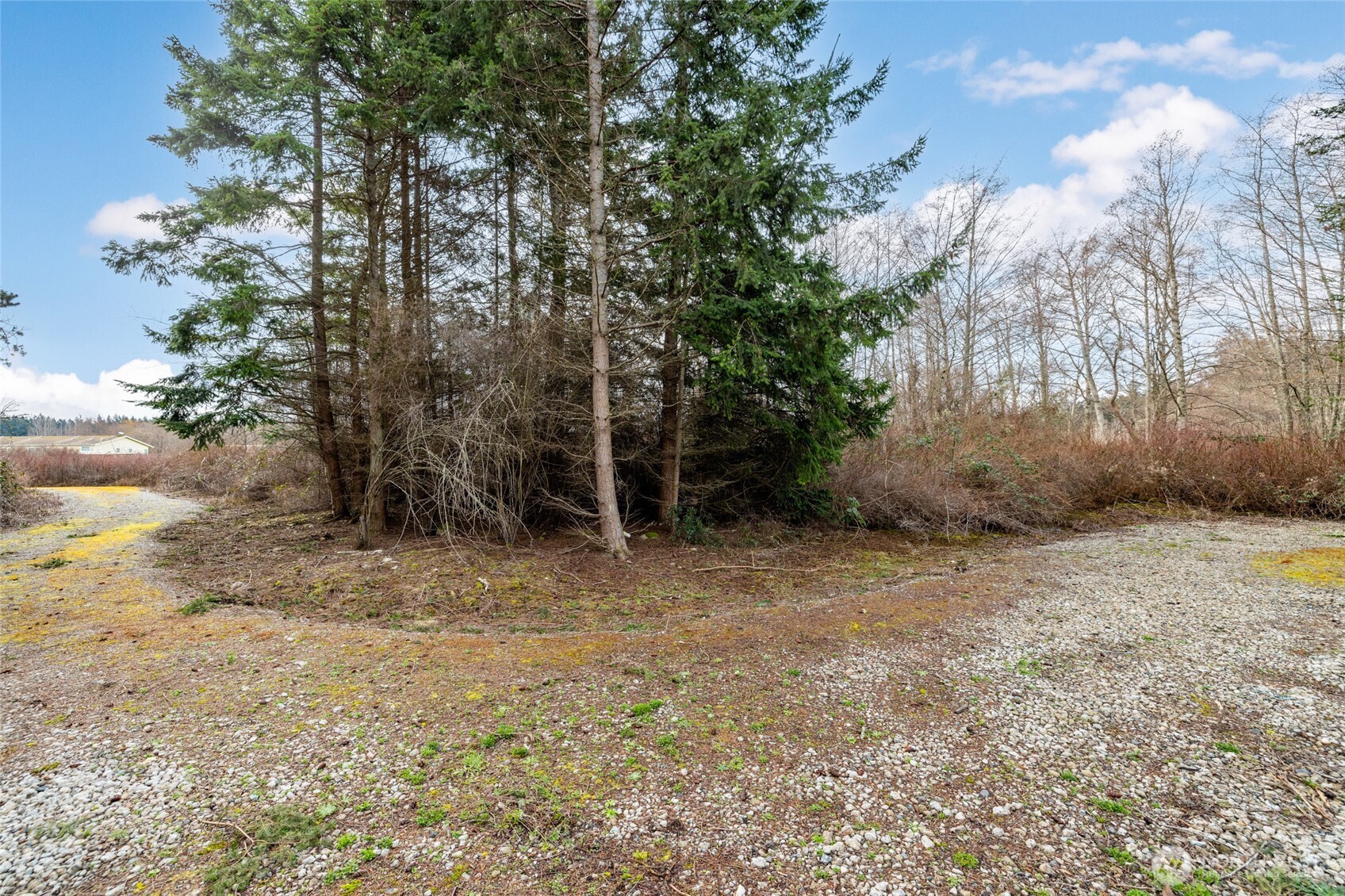 -xxx North Hoffman Road Oak Harbor, WA 98277 - Photo 5 of 5