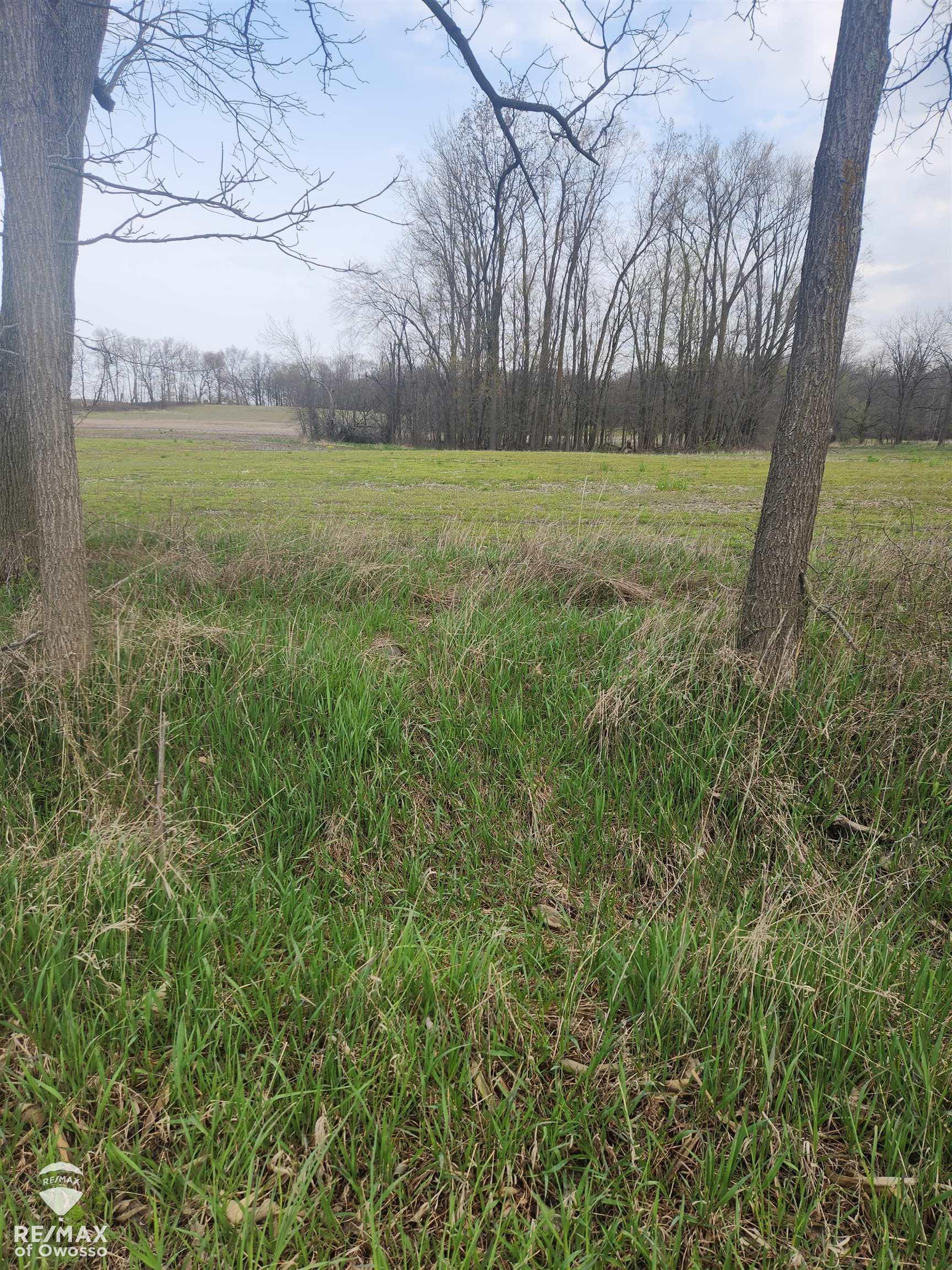 0 Rolston Road Gaines, MI 48436 - Photo 7 of 12 50139615-47a2b4ac-cc94-4d82-b173-6396f73b25ec.JPG